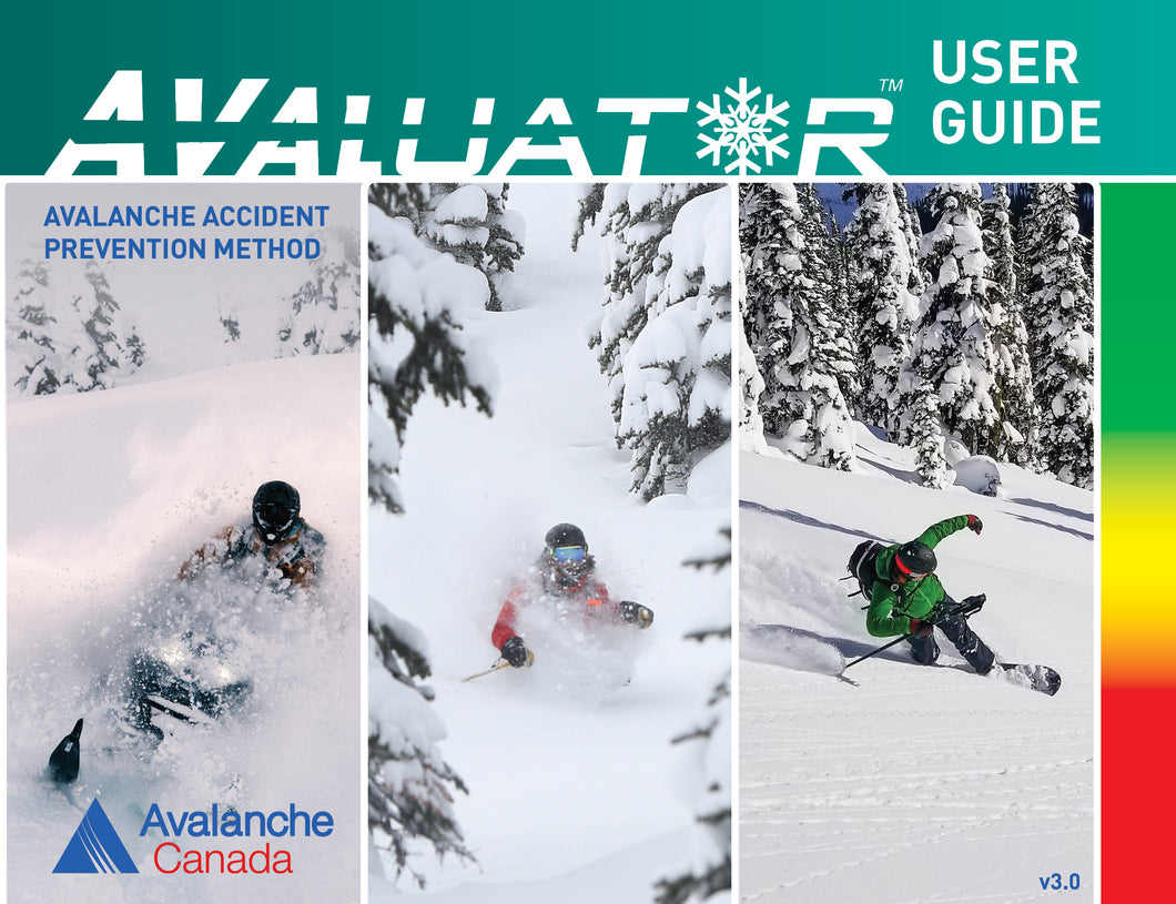 New! Avaluator 3.0 - English (Copy)